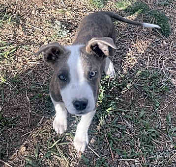 Photo of Reggie