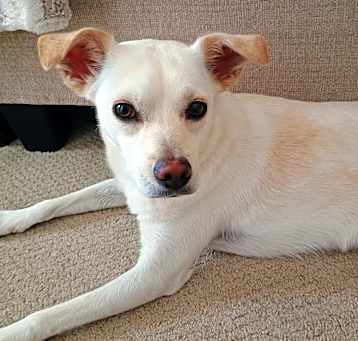 Photo of Keeba