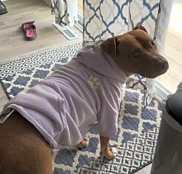 Photo of Lady