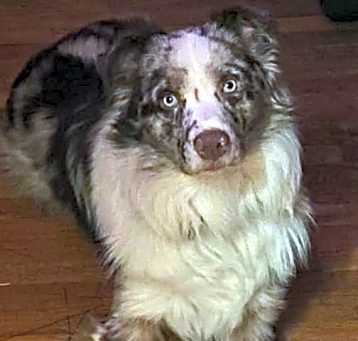 Photo of Armani