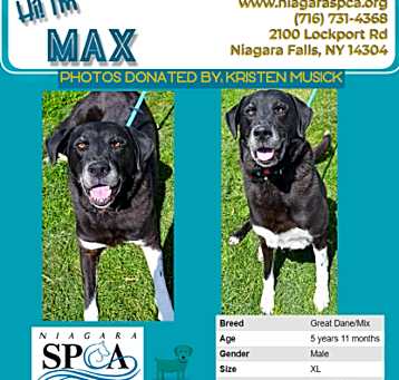 Photo of Max