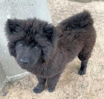 Photo of Freya