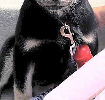 Photo of Maisey May