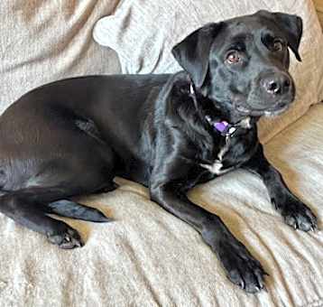 Photo of Stormy