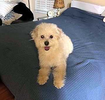 Photo of Sunny (AL)