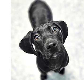 Photo of Nyx