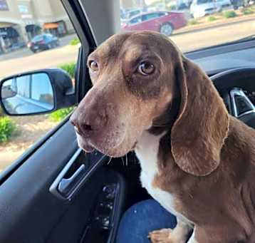 Photo of Maggie