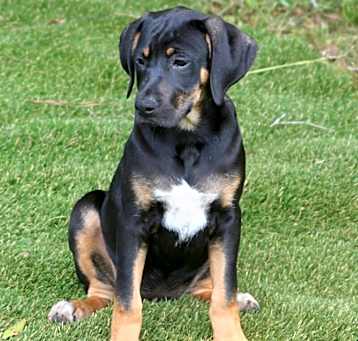 Photo of Heidi (Layla Little's)