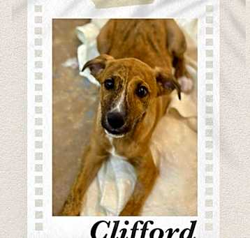 Photo of Clifford
