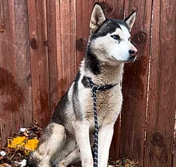 Photo of BODHI