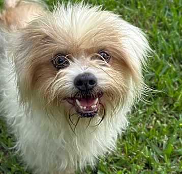 Photo of Lilah