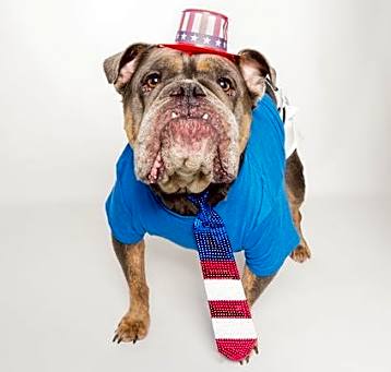 Photo of Bubba
