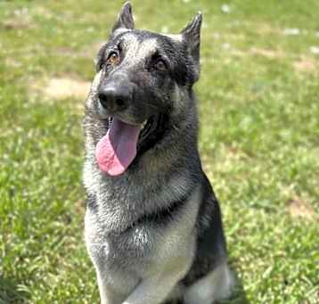 Photo of Yeti