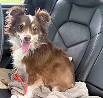 Photo of Fred