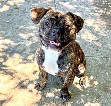 Photo of BERRY