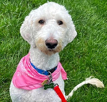 Photo of Aspen