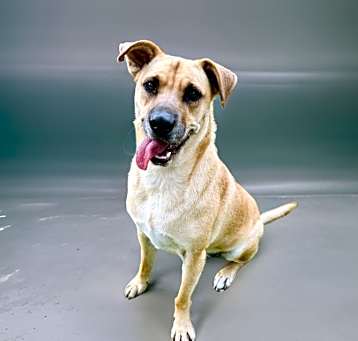 Photo of Bella