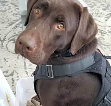 Photo of Sasha