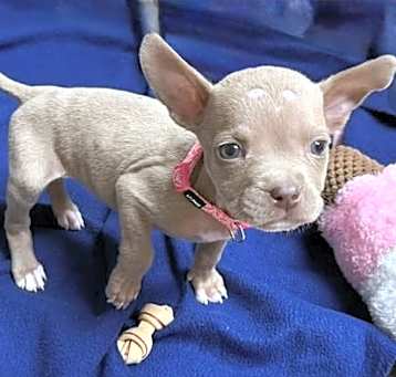 Photo of Winnie