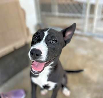 Photo of Fiona