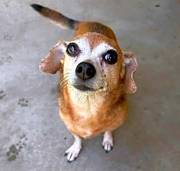 Photo of Teenie