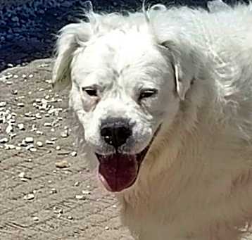 Photo of PAMUK (Turkey) kt - flight June 21
