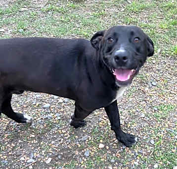 Photo of Jake