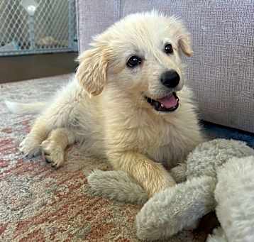 Photo of Sansa