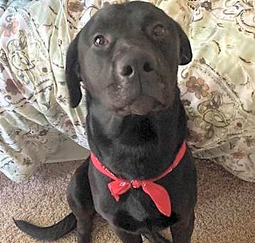 Photo of Wilbur