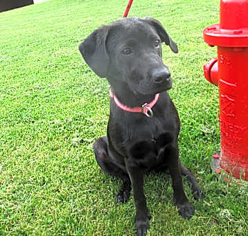 Photo of IzzyBella