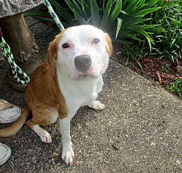 Photo of Dumpling