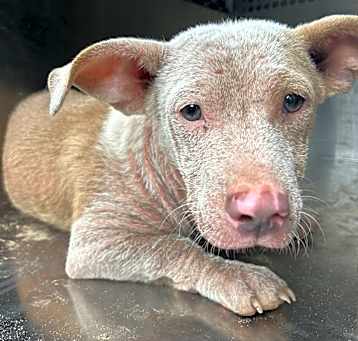 Photo of Dirty Boy