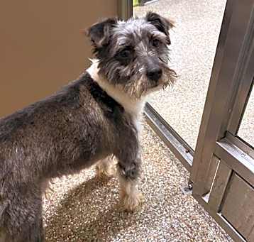 Photo of OREO