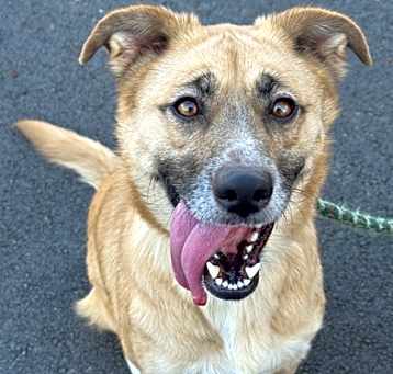 Photo of Lucy