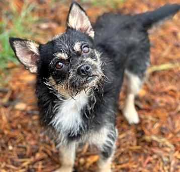 Photo of Freddo