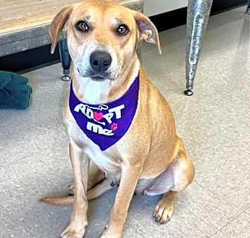 Photo of Lina 25-04-170