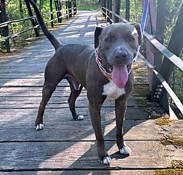 Photo of Rocco