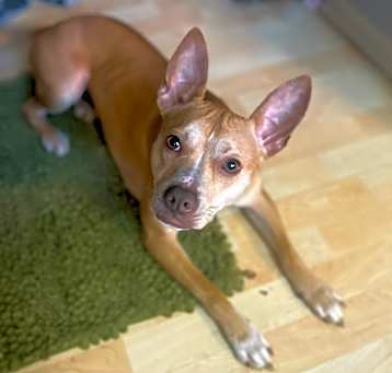 Photo of Silas