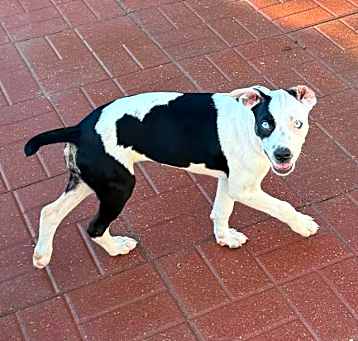 Photo of Lucy