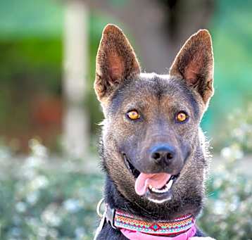Photo of Lilly