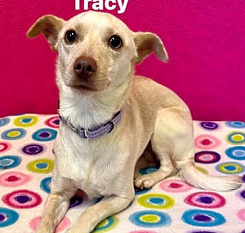 Photo of Tracy