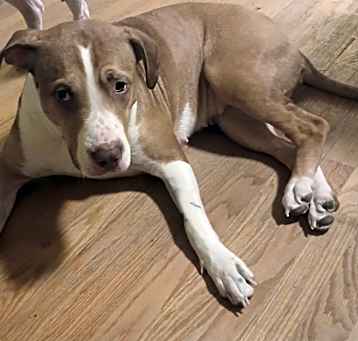 Photo of Roxie