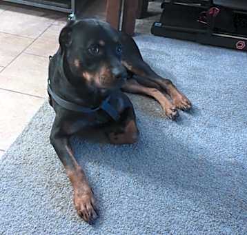 Photo of Theodore