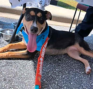 Photo of DIXIE