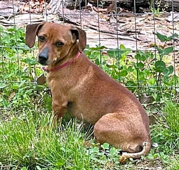 Photo of Mr. Misty