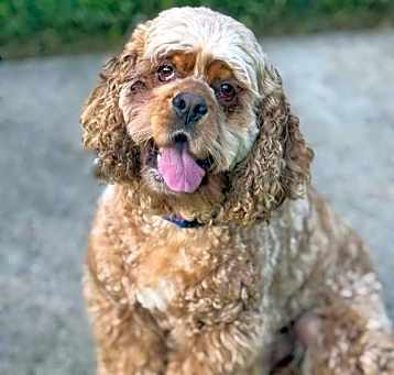 Photo of Bailee