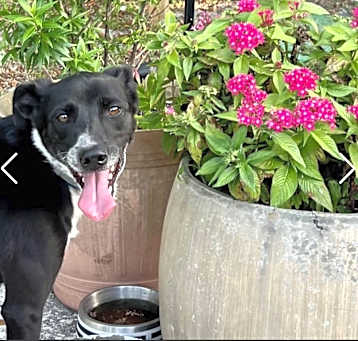 Photo of Cleo
