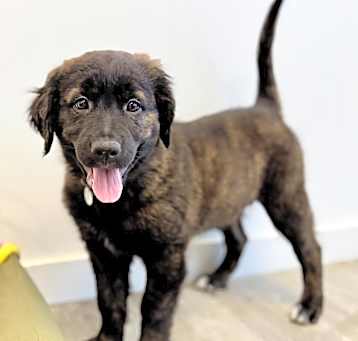 Photo of Samba