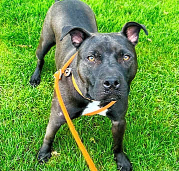 Photo of Zuko