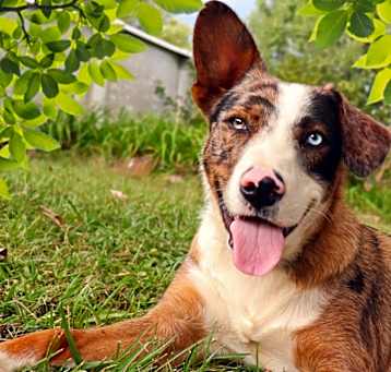 Photo of Booka